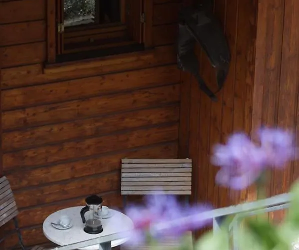 Le Bouton D'or Dağ evi *