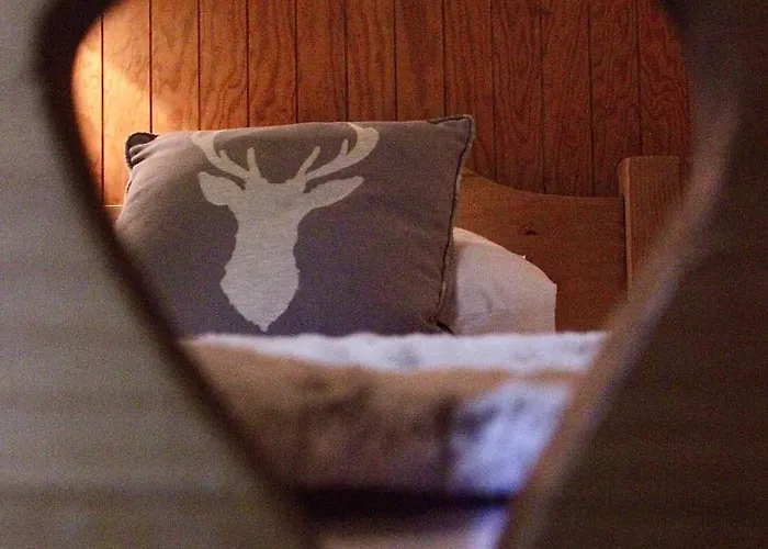 Le Bouton D'or Dağ evi Les Deux Alpes