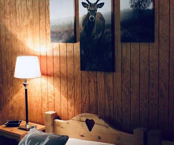 Le Bouton D'or Les Deux Alpes